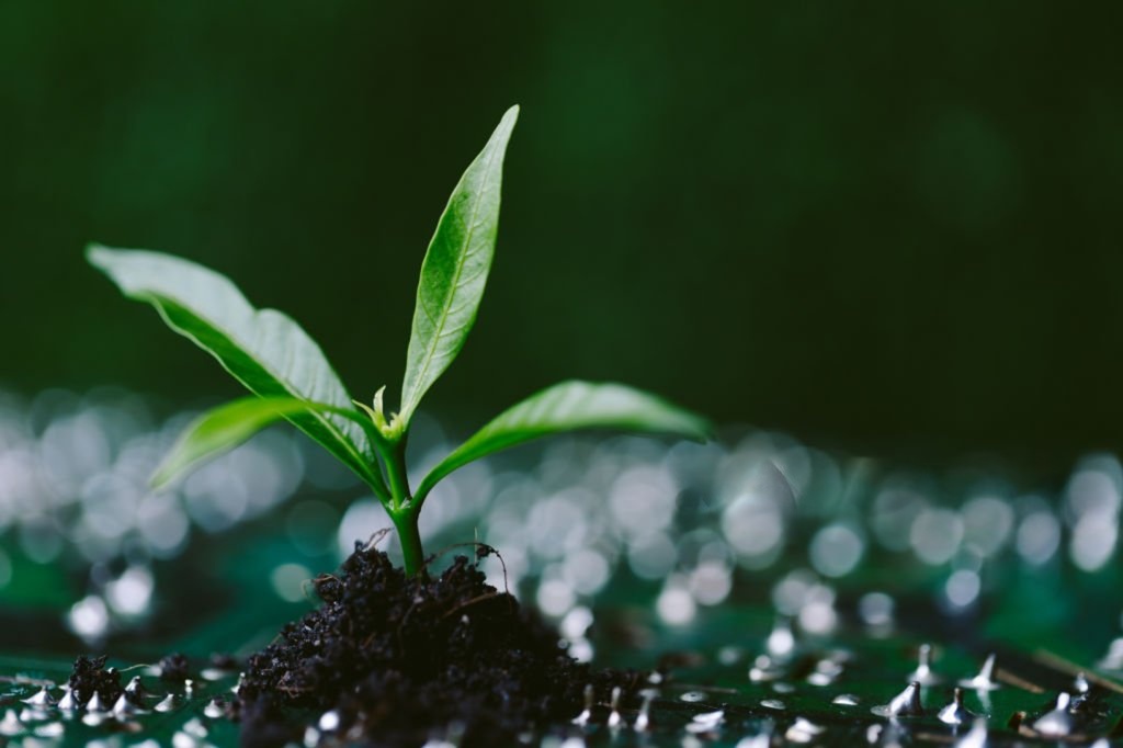 Nature-inspired biotechnology visual
